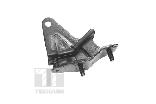 TEDGUM TED97156 - Lagerung, Motor