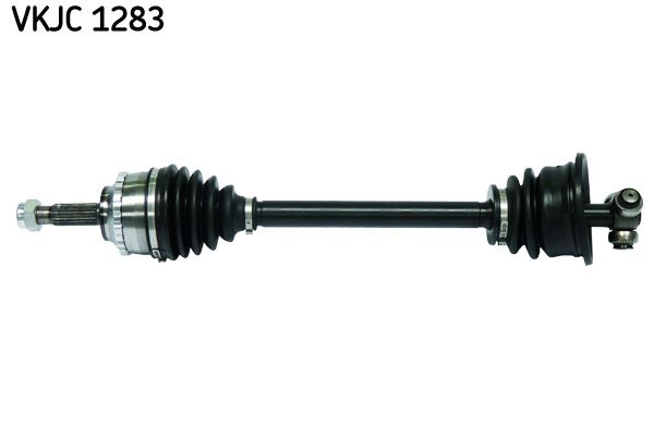 VKJC 1283.JPG