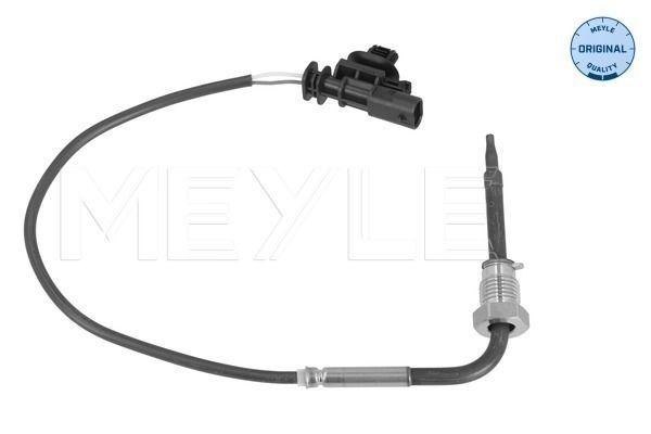 Sensor, Abgastemperatur