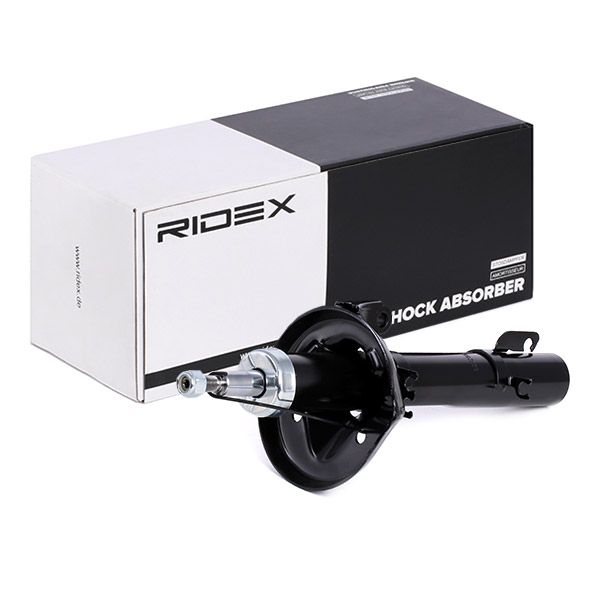 8002560_966.JPG