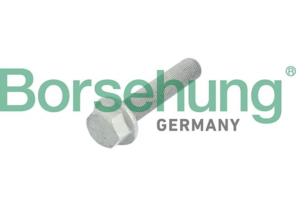 Borsehung B10633 - Zentrierschraube, Riemenscheibe-Kurbelwelle