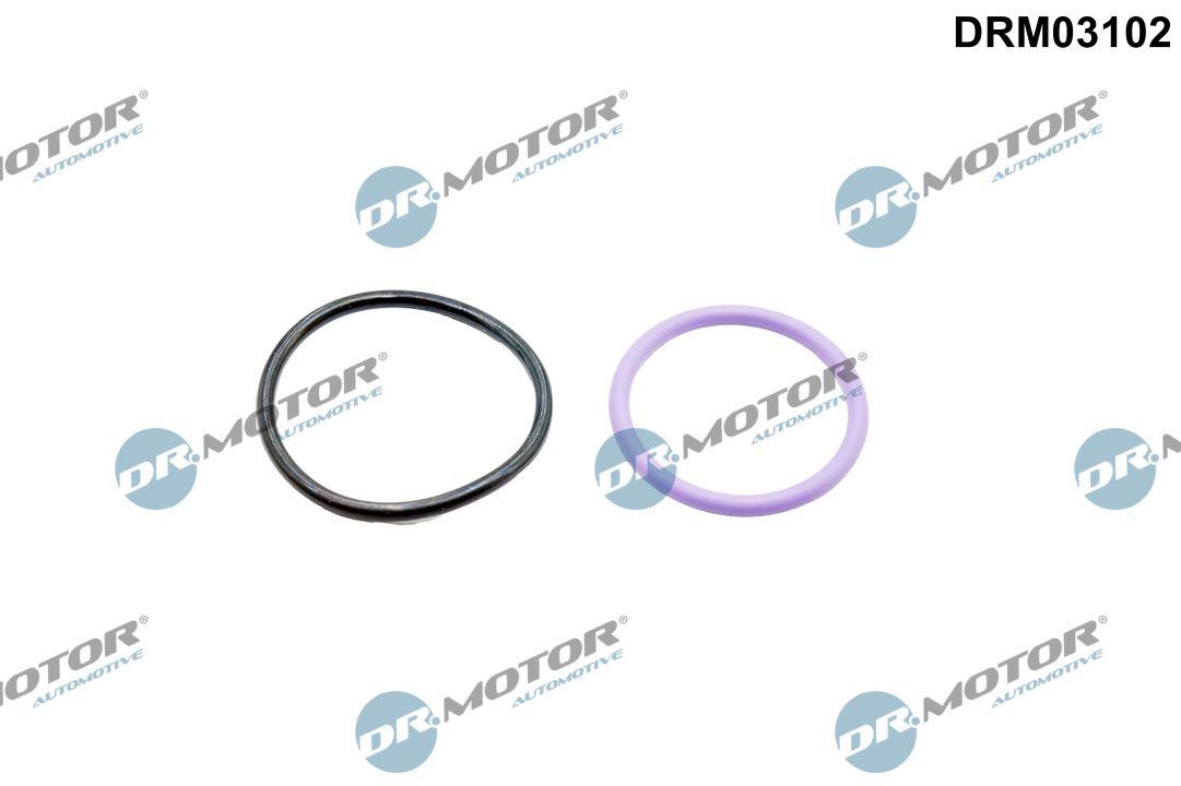 Dr.Motor Automotive DRM03102 Dichtung, Kühlmittelrohrleitung