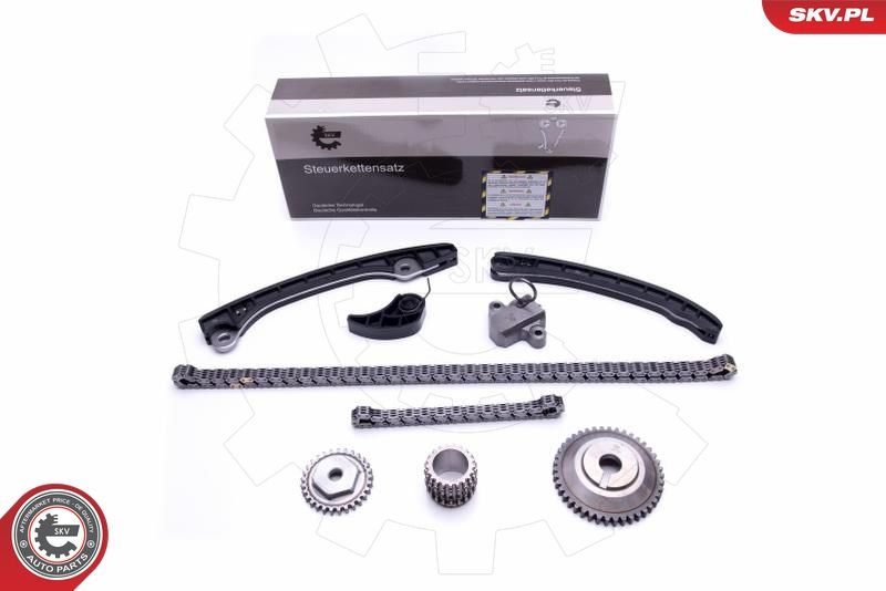 Timing Chain Kit 21SKV248