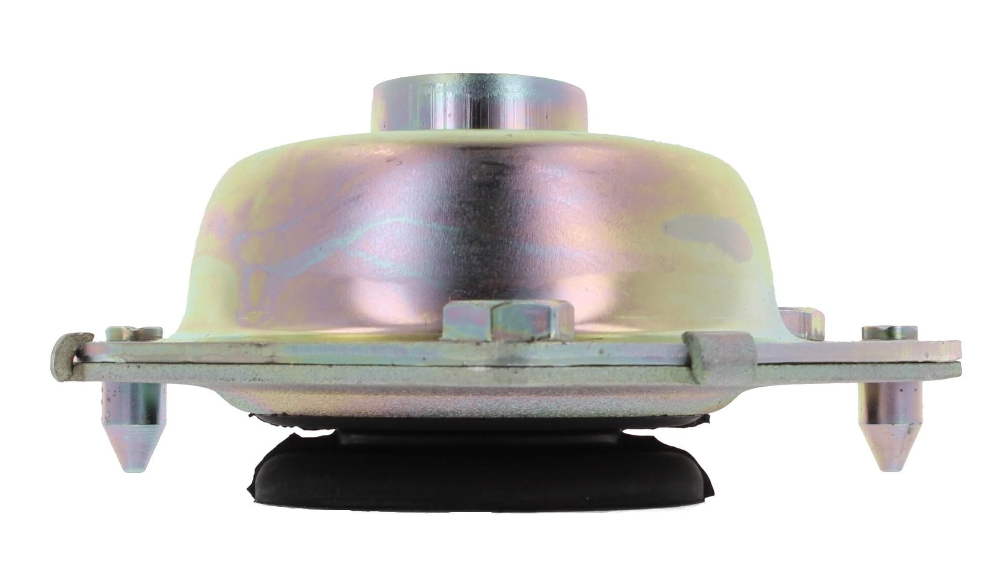 Federbeinstützlager