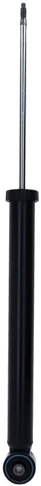 amortizatorius