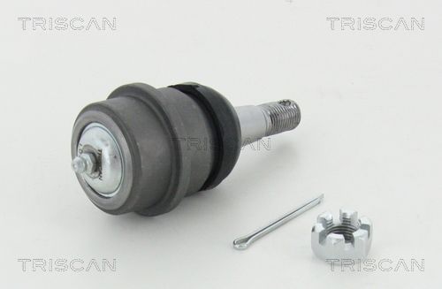 Trag-/Führungsgelenk
