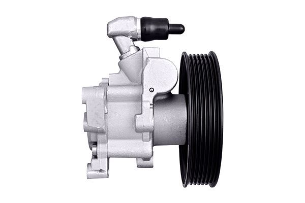 Hydraulikpumpe, Lenkung