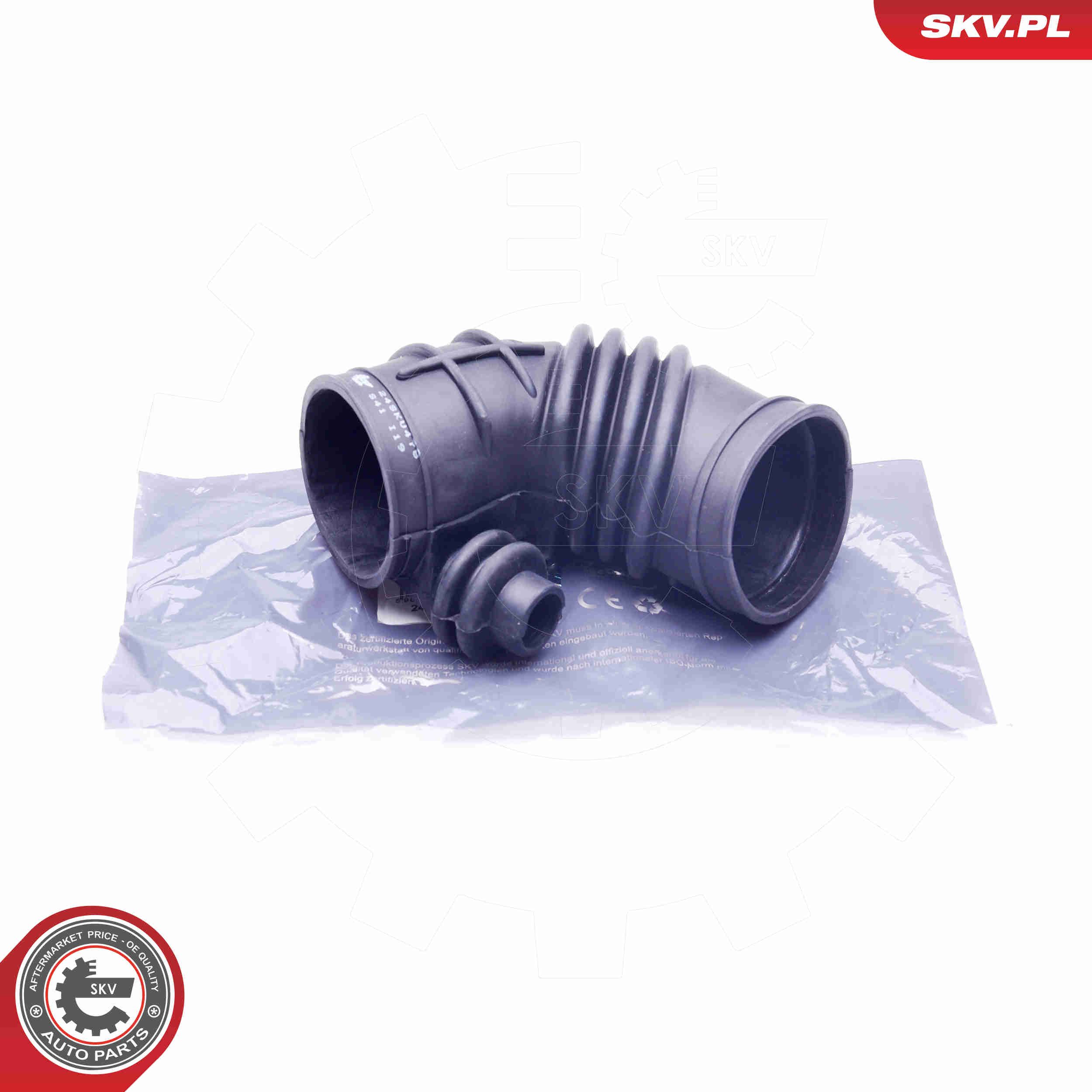 Ansaugschlauch, Luftfilter