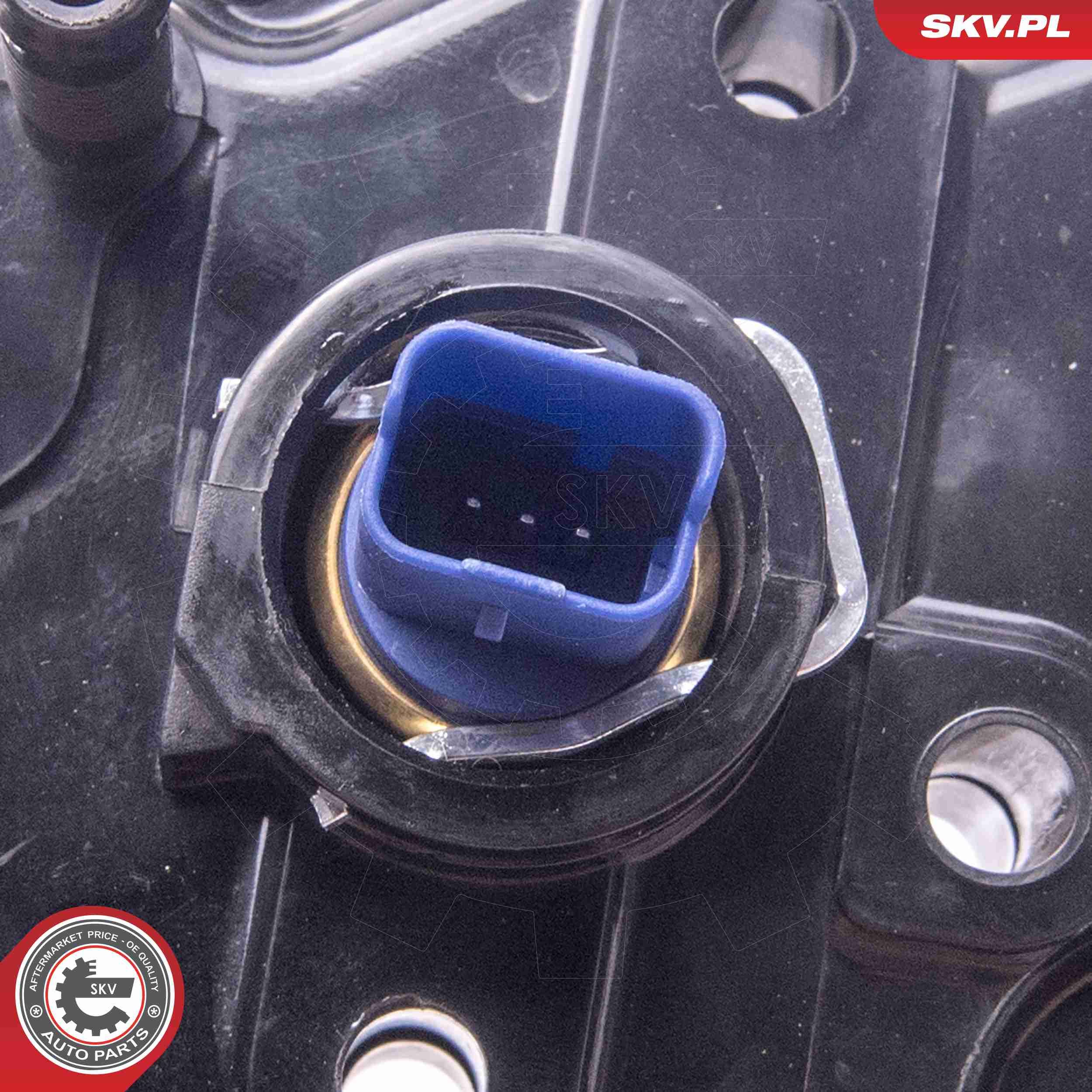 ESEN SKV 20SKV161 - Thermostat, K&uuml;hlmittel