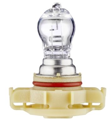 Glühlampe, Nebelscheinwerfer Glühlampe, Nebelscheinwerfer