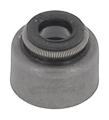 Dichtungssatz, Ventilschaft