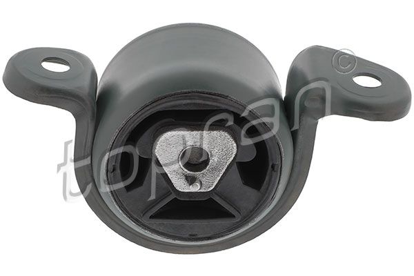 TOPRAN 201 397 - Lagerung, Motor