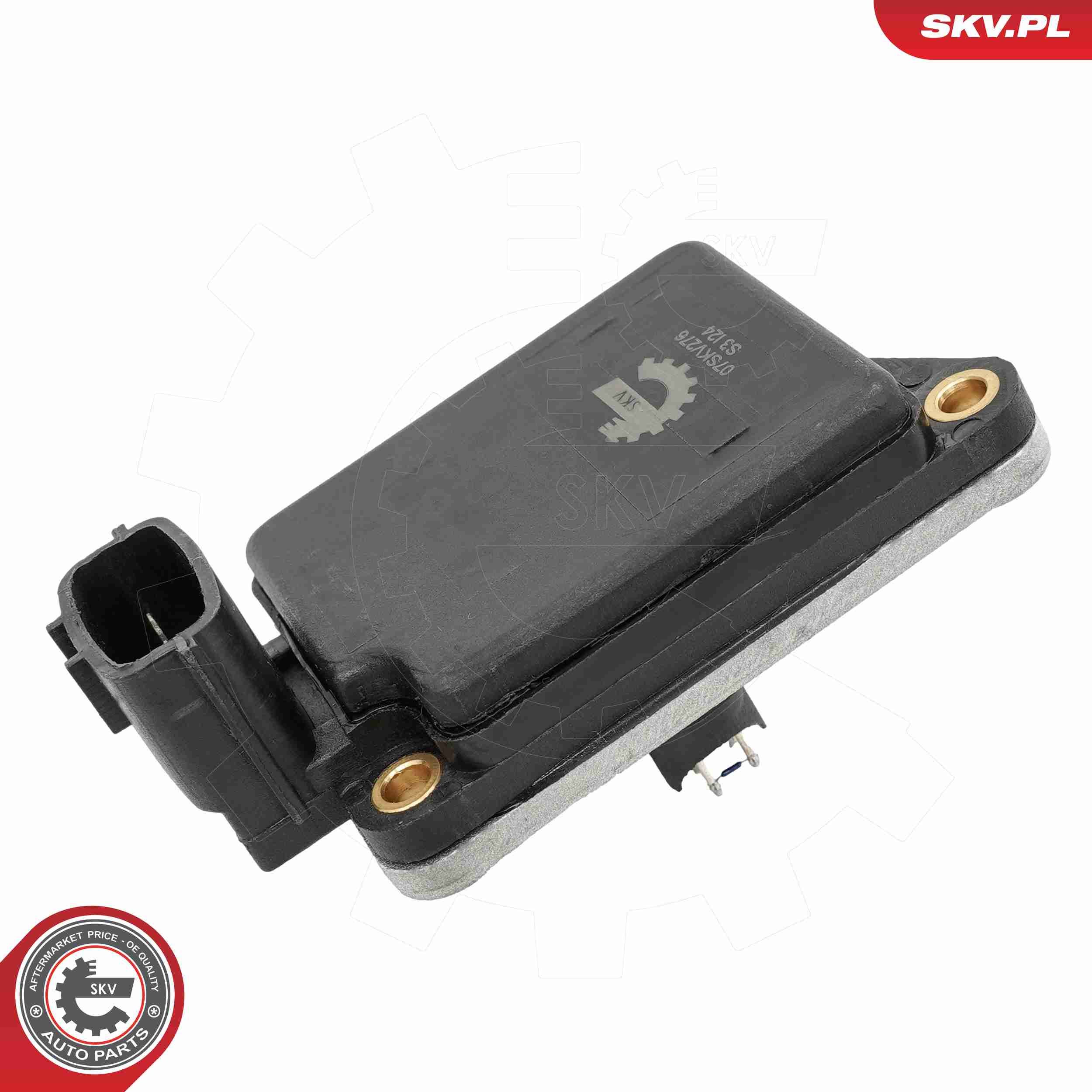 ESEN SKV 07SKV276 - Luftmassenmesser