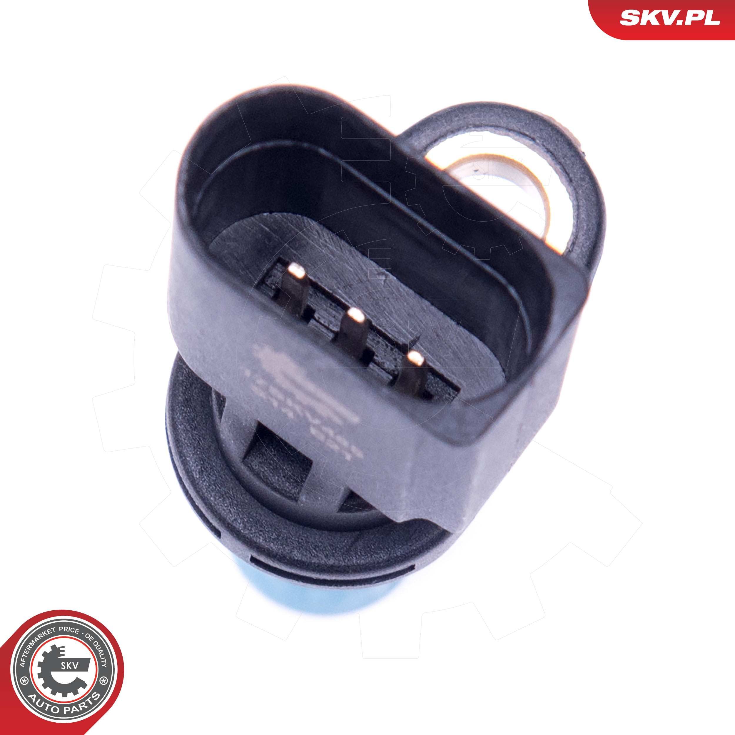 ESEN SKV 17SKV485 - Lenkwinkelsensor