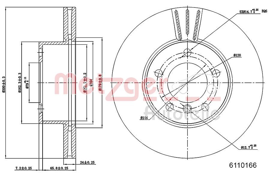 Brake Disc 6110166