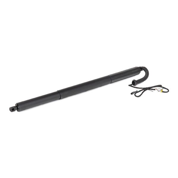 RIDEX 219G1032 Electric Motor, tailgate