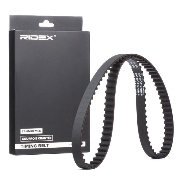 8094624_835.JPG