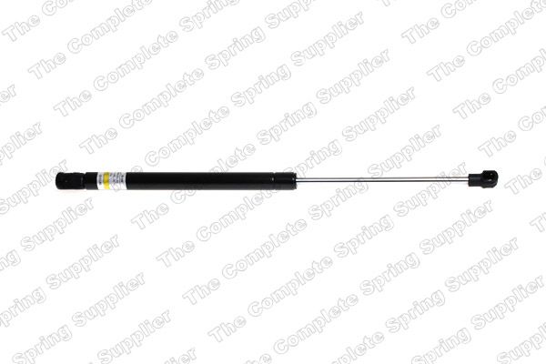 Gasfeder, Koffer-/Laderaum