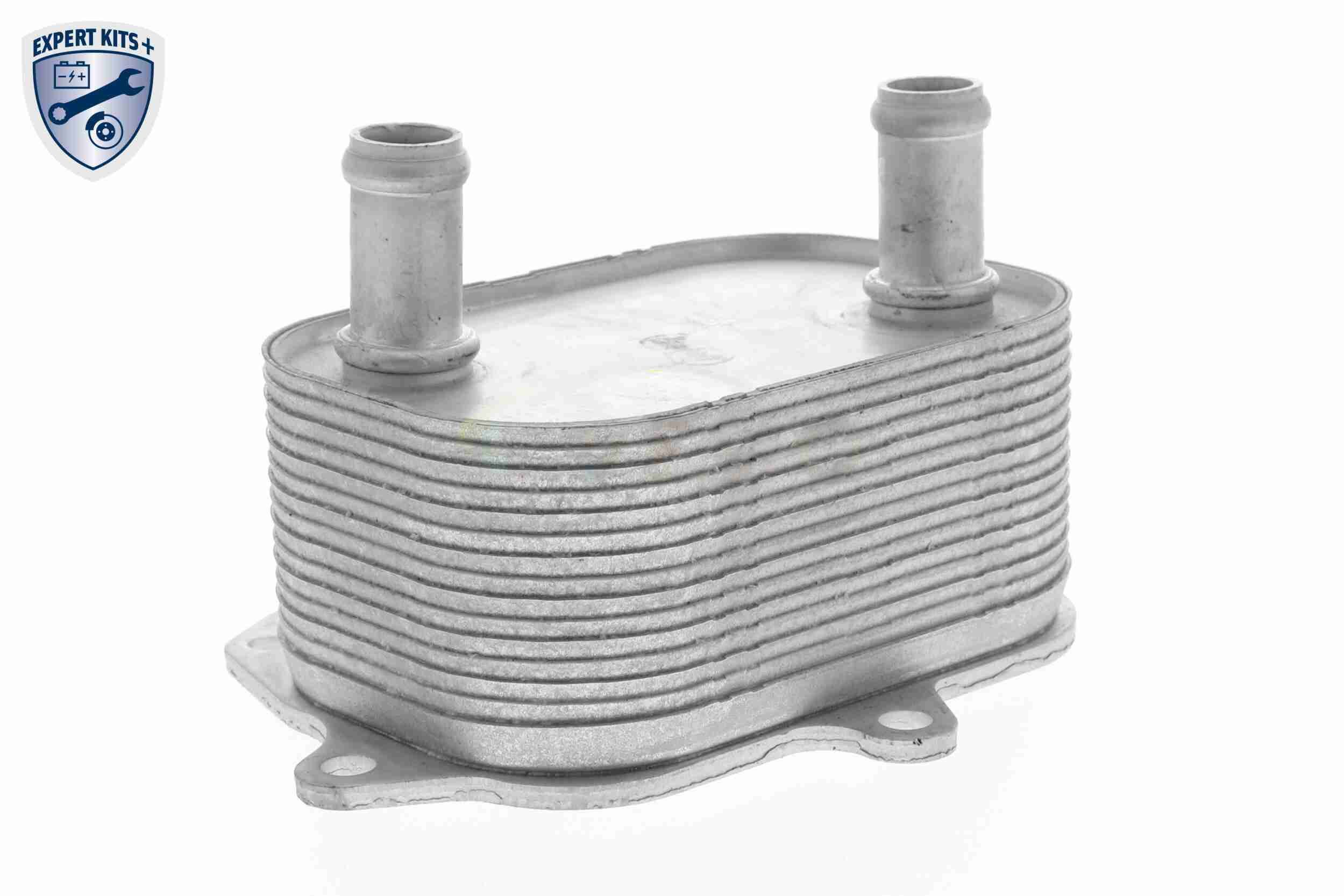 &Ouml;lk&uuml;hler, Motor&ouml;l