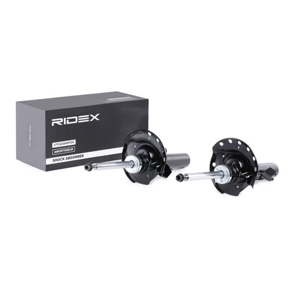 854S1606 RIDEX lengéscsillapító