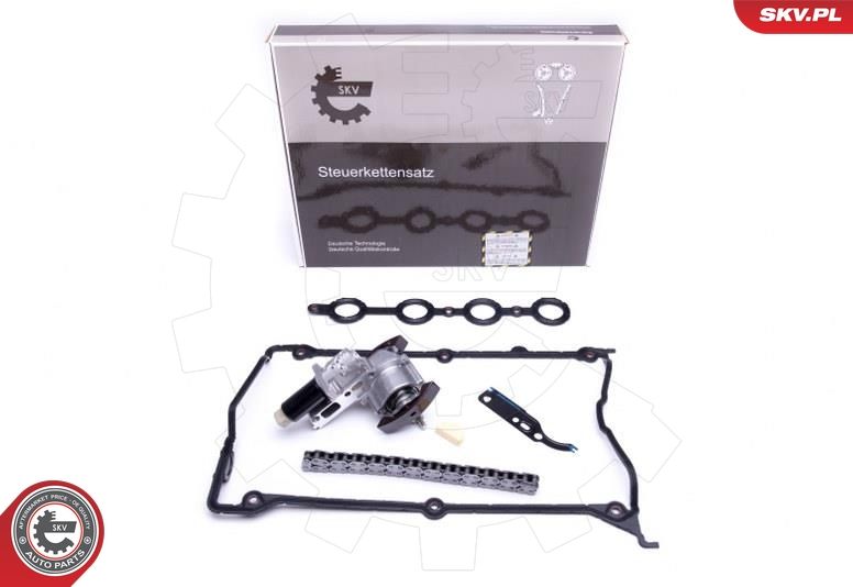 Timing Chain Kit 21SKV110