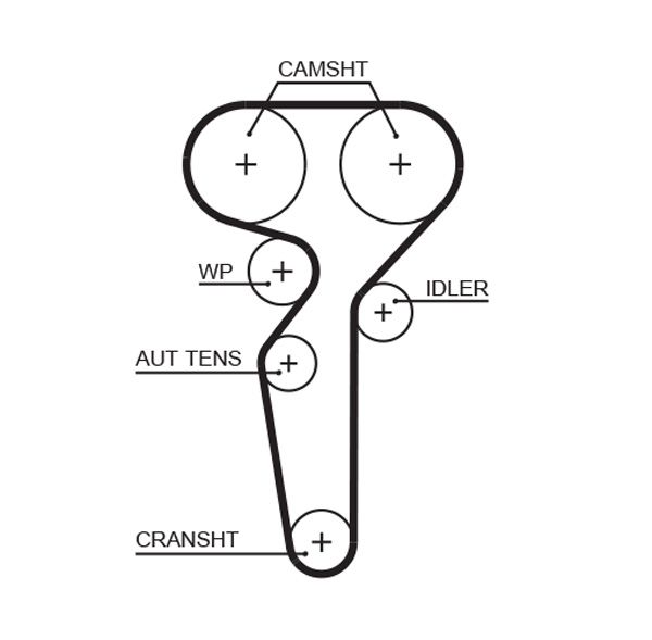 Timing Belt 5685XS