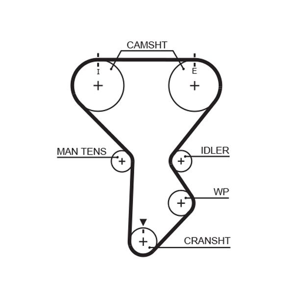 Timing Belt 5287XS