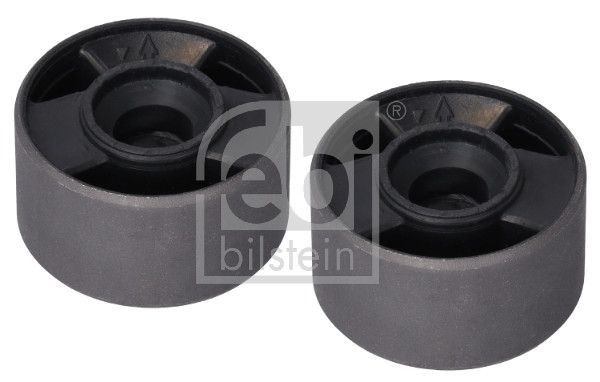 Mounting, control/trailing arm 06660