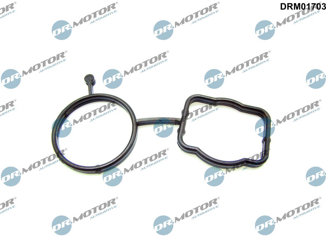 Dr.Motor Automotive DRM01703 Gasket, thermostat housing