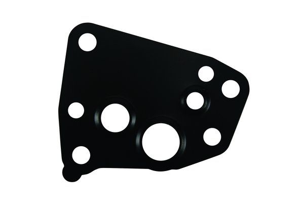 Dichtung, Öleinlass (Lader)