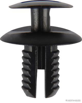 Clip, Zier-/Schutzleiste