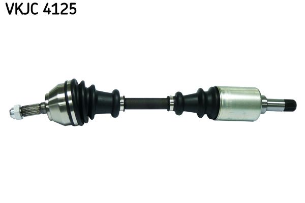 VKJC 4125.JPG