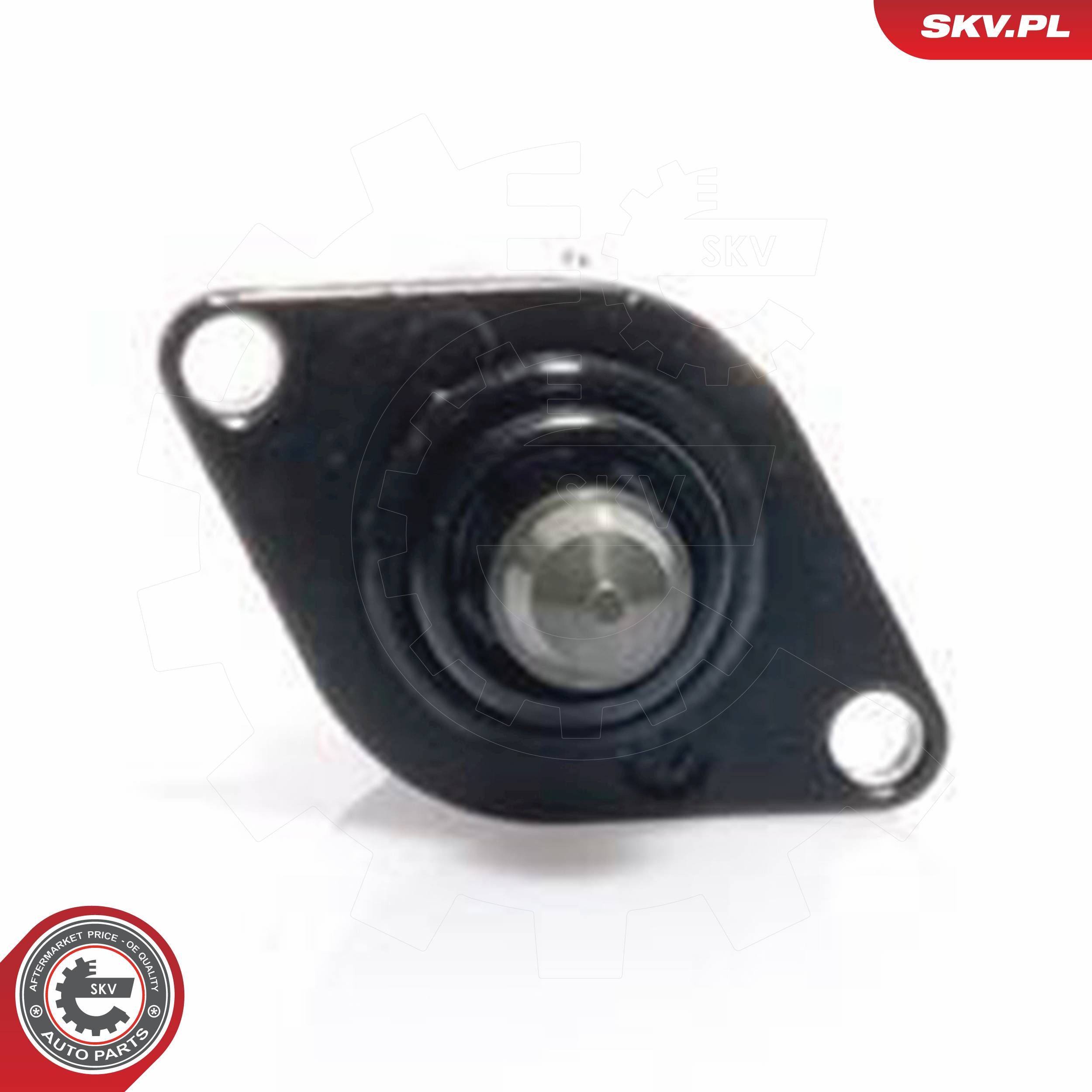 ESEN SKV 08SKV030 - Leerlaufregelventil, Luftversorgung