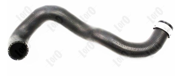 radiatoriaus žarna