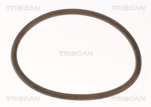 Thermostat, Kühlmittel Thermostat, Kühlmittel