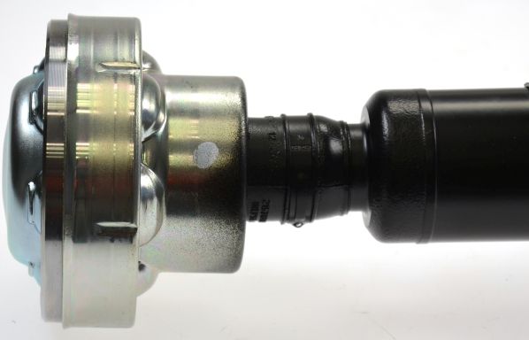 GKNP10056B.JPG