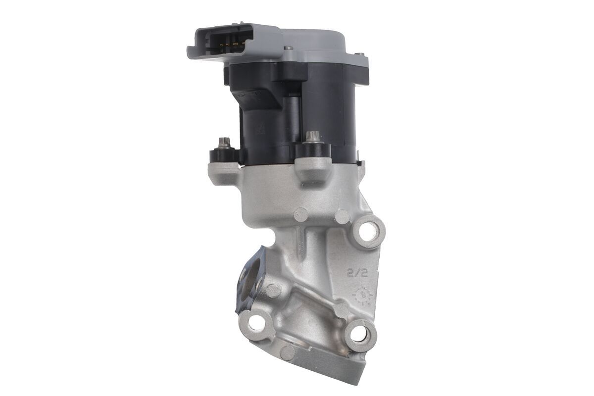 EGR VALVE_700410_01.JPG