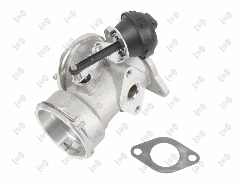 ERG vožtuvas