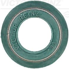 Dichtring, Ventilschaft