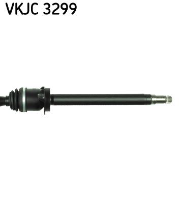 VKJC 3299_3.JPG