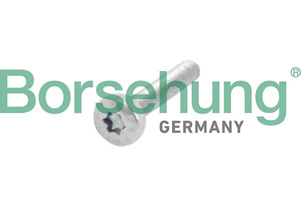 Borsehung B10634 - Schraube, Zahnrad-Nockenwelle