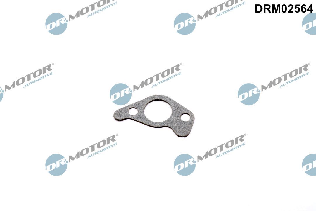 Dr.Motor Automotive DRM02564 Gasket, oil pump