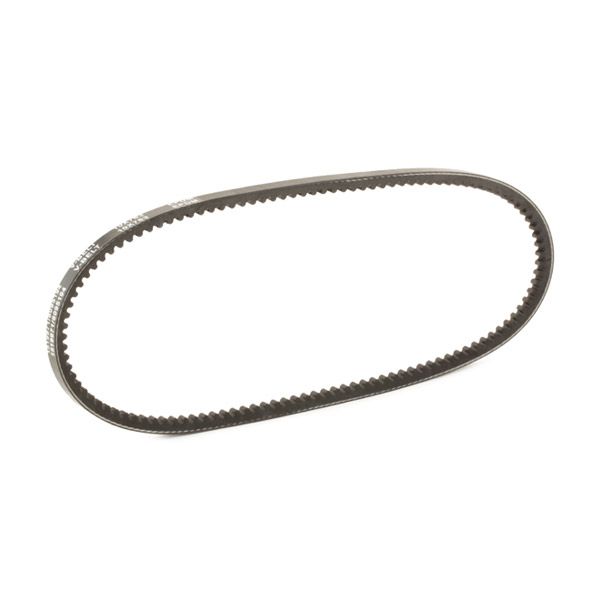 RIDEX 10C0067 V-Belt
