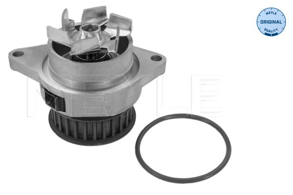 MEYLE 113 012 0024 Water Pump, engine cooling