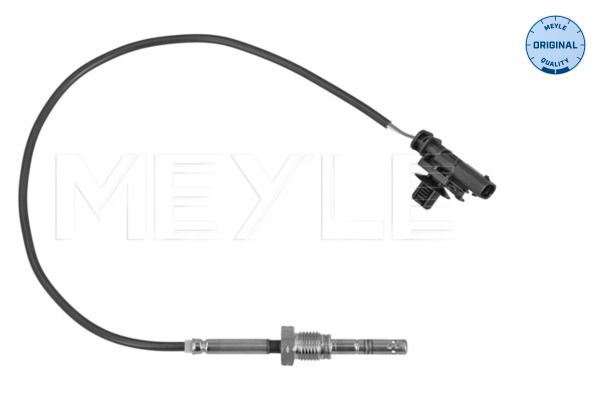 Sensor, Abgastemperatur