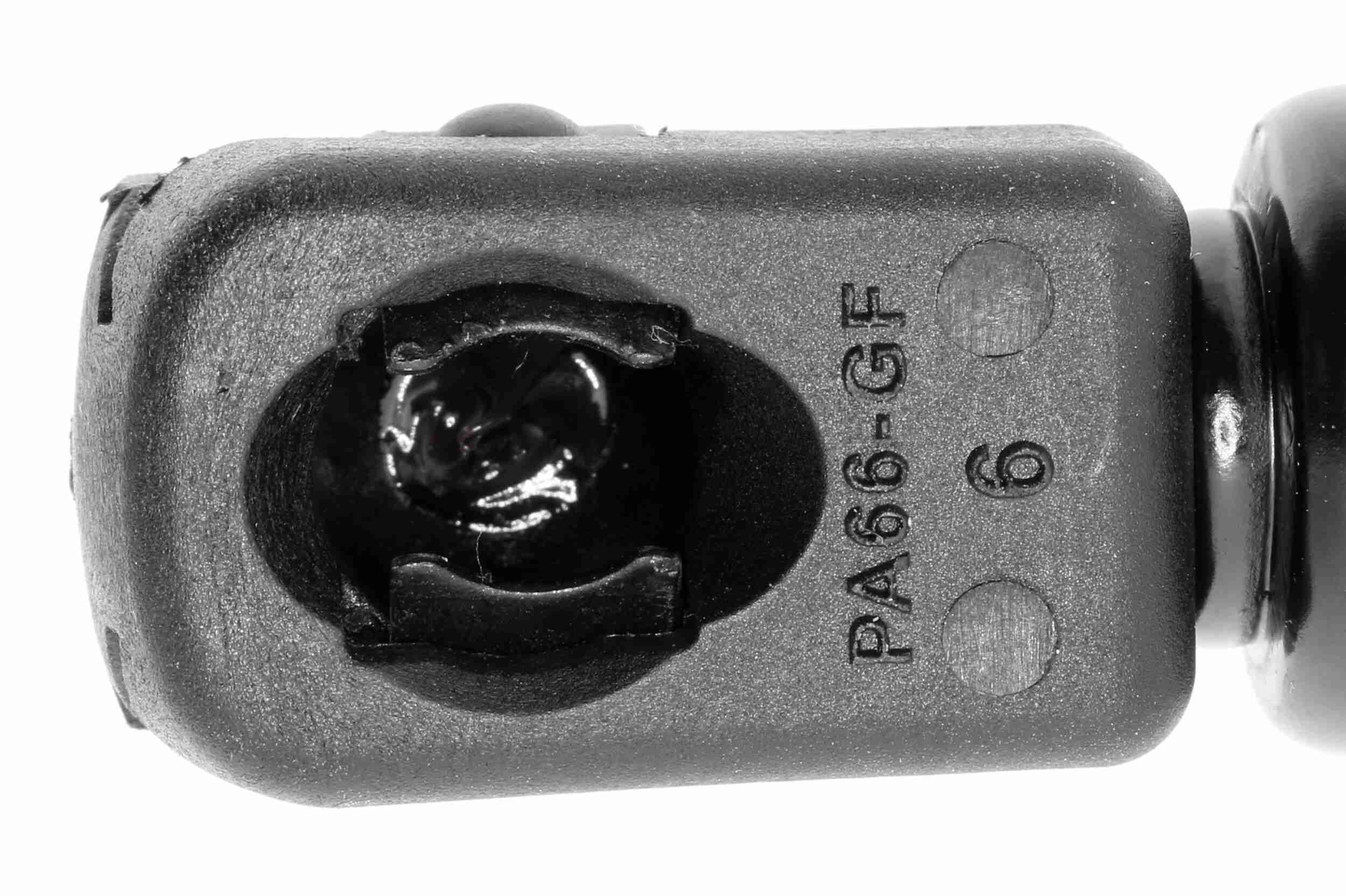 Gasfeder, Motorhaube Gasfeder, Motorhaube