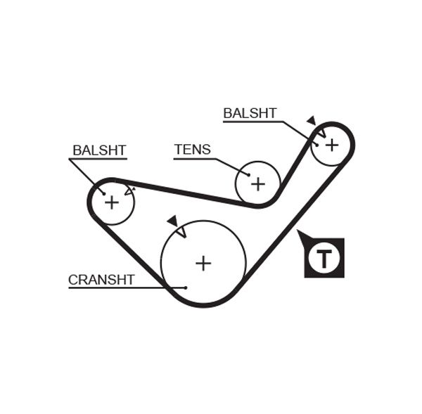 Timing Belt 5436XS