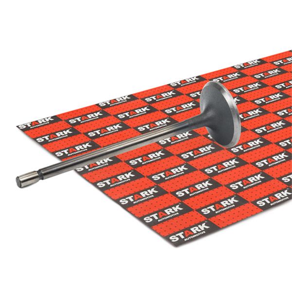 STARK SKINV-3270002 Intake Valve