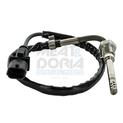 Sensor, Abgastemperatur Sensor, Abgastemperatur