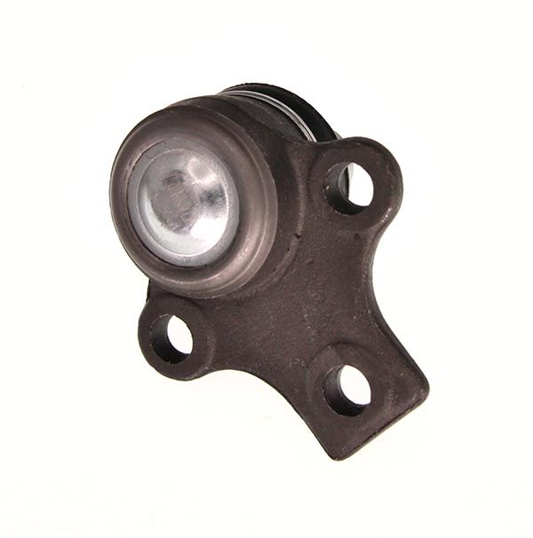 MGZ-401019_2_LARGE.JPG